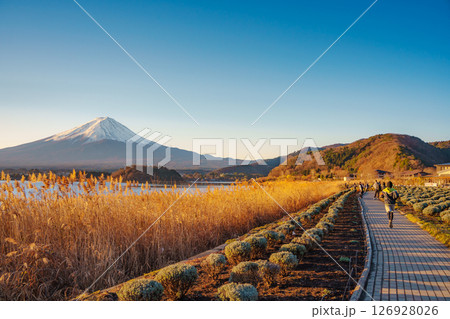 Mount Fuji from Oishi Park in Autumn 126928026