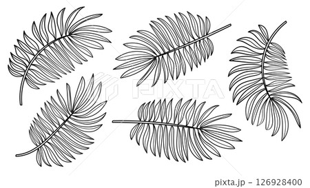 Tropical palm leaves line art collection .Vector illustration. 126928400