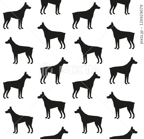 Vector seamless pattern of doberman dog silhouette 126929079