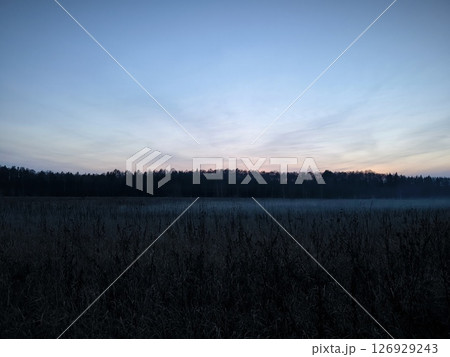night photo in evening, dark forest ahead an fog rising over field, black gloomy scene. Dark landscape, black forest, meadow and fog over the field 126929243