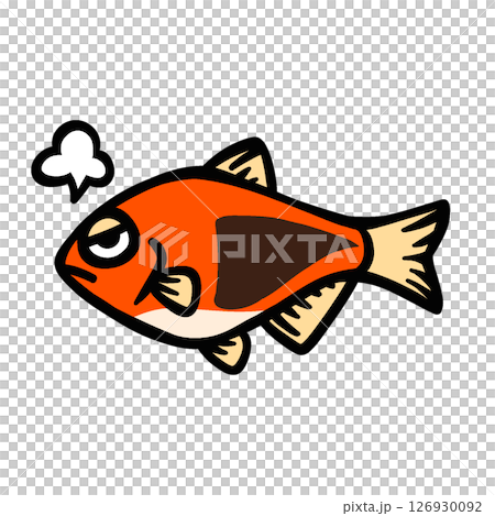 シンプルな怒るラスボラヘテロモルファのイラスト シンプルな怒るラスボラヘテロモルファのイラスト 126930092