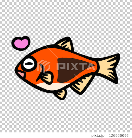 Simple illustration of a happy Rasbora heteromorpha Simple illustration of a happy Rasbora heteromorpha 126930095