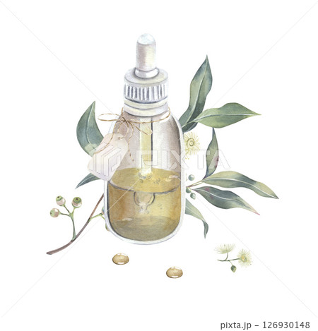 Eucalyptus branch with leaves, shoots and buds, drops, glass bottle of essential oil, label, watercolor isolated on white. Botanical illustration of medicinal herbs hand drawn for aromatherapy label 126930148
