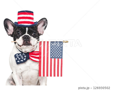 Cute puppy, bow tie, top hat and American Flag 126930502