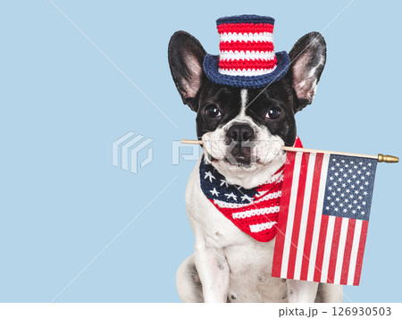 Cute puppy, top hat and American Flag. Studio shot 126930503