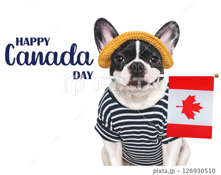 Happy Canada Day. Cute puppy and Canadian Flag. Happy Canada Day. Cute puppy and Canadian Flag. 126930510