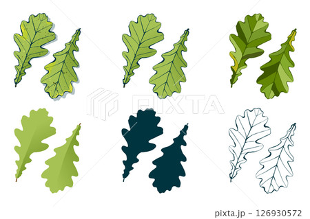 Set of hand-drawn colored oak leaves isolated on white background. Flat and line styles vector illustration. 126930572