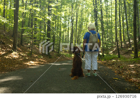 Senior Woman Hiking with Irish Setter Dog on Forest Path During Sunny Nature Walk 126930716