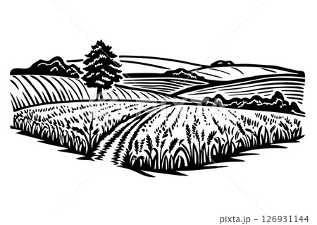Countryside landscape illustration with fields, wheat, tree, hills and nature rural farming scene, agriculture concept, AI Generative 126931144