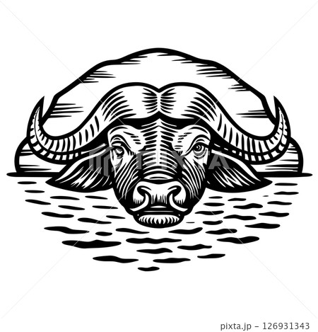 Water buffalo head facing forward in stylized monochrome illustration with rippling water pattern beneath, AI Generative 126931343