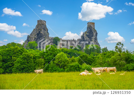 Trosky Castle Ruins rise majestically above a verdant landscape in Bohemian Paradise, Czechia, with grazing cattle dotting the lush green fields under a bright blue sky. Trosky Castle Ruins rise majestically above a verdant landscape in Bohemian Paradise, Czechia, with grazing cattle dotting the lush green fields under a bright blue sky. 126931350