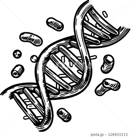 Dna double helix structure with genetic...のイラスト素材 [126931513] - PIXTA