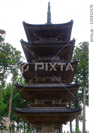 佐渡島 妙宣寺五重塔 佐渡島 妙宣寺五重塔 126932476
