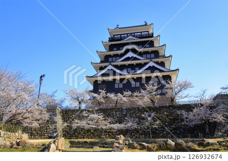 【広島県】桜咲く春の福山城（復興後）福山城桜まつり 126932674