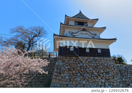 【香川県】桜咲く春の丸亀城(現存天守と石垣の名城) 【香川県】桜咲く春の丸亀城(現存天守と石垣の名城) 126932676