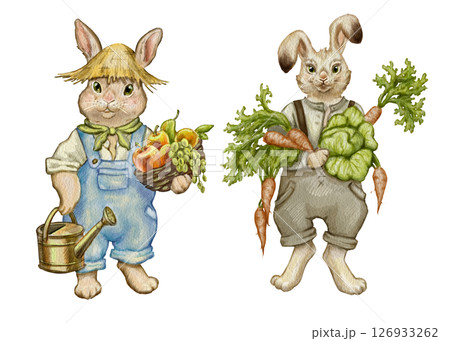Watercolor illustration of two gardening rabbits. Rabbits in clothes with vegetables, fruits, garden tools. For printing on cards, t-shirts, dishes, notebooks, posters. Game characters funny animals. 126933262