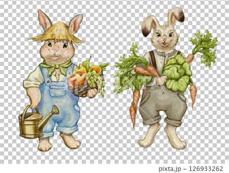 Watercolor illustration of two gardening rabbits. Rabbits in clothes with vegetables, fruits, garden tools. For printing on cards, t-shirts, dishes, notebooks, posters. Game characters funny animals. 126933262