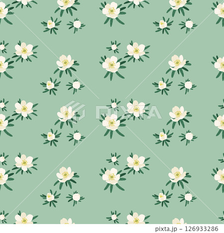 Floral vector seamless pattern with delicate spring flowers on light green background. 126933286