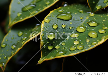 Vibrant Lemon Close-Up with Textured Peel, Green Leaves, and Striking Dynamic Contrast 126933343