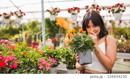 Gardener smelling marigold flowers in greenhouse nursery Gardener smelling marigold flowers in greenhouse nursery 126934230