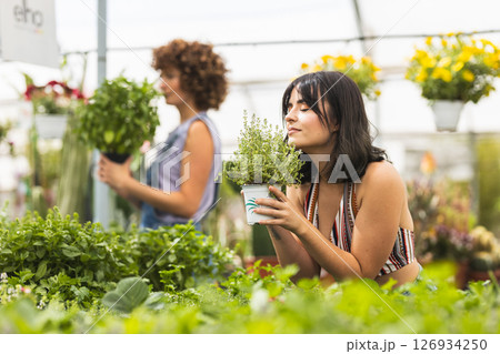Woman smelling thyme plant in greenhouse with colleague Woman smelling thyme plant in greenhouse with colleague 126934250
