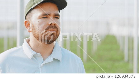 Farmer inspecting crops growing in greenhouse tunnel 126934375