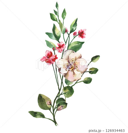 Hand Painted Watercolor Flower Vector Illustration Floral Element on White Background Hand Painted Watercolor Flower Vector Illustration Floral Element on White Background 126934463