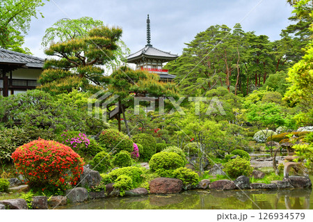 杜の都仙台　北山　輪王寺 日本庭園　三重塔　ツツジ  126934579