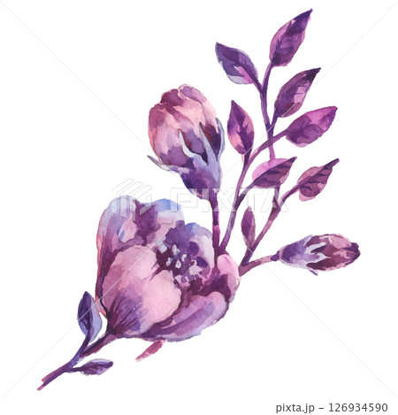 Hand Painted Watercolor Flower Vector Illustration Floral Element on White Background 126934590
