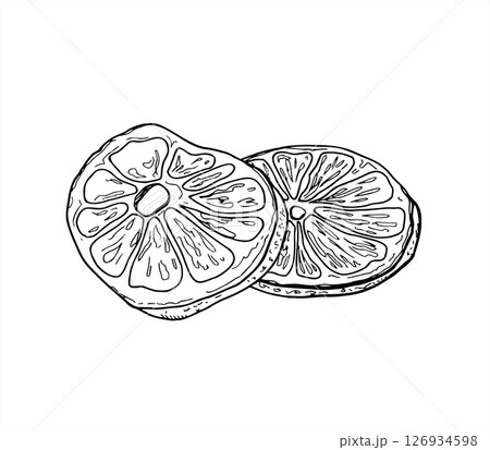 Two stacked dried orange slices vector illustration painted by black inks. Etching drawing of citrus fruit wedges for Christmas decorations, winter holiday packaging, festive drink menu. 126934598