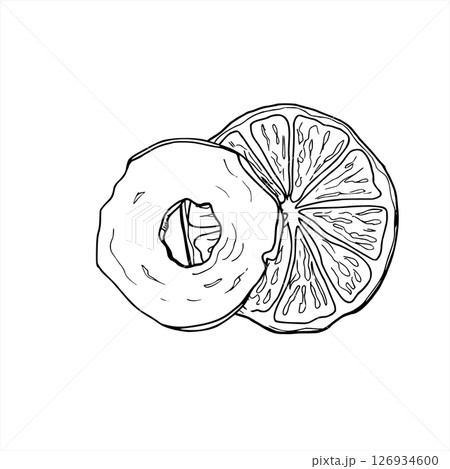 Vector dried apple and orange slices hand drawn monochrome illustration. Etching drawing of orange and apple slices ingredients for Christmas decorations, festive drink menus, baking packaging. 126934600