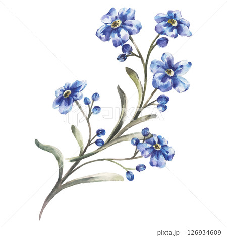 Hand Painted Watercolor Flower Vector Illustration Floral Element on White Background 126934609