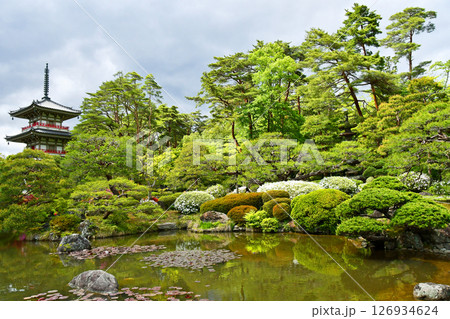 杜の都仙台　北山　輪王寺 日本庭園　三重塔　ツツジ  126934624