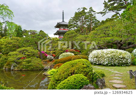 杜の都仙台　北山　輪王寺 日本庭園　三重塔　ツツジ  126934625