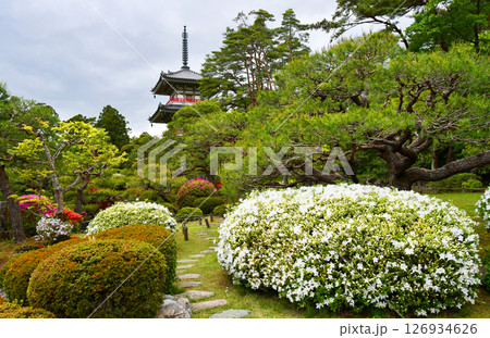 杜の都仙台 北山 輪王寺 日本庭園 三重塔 ツツジ  杜の都仙台 北山 輪王寺 日本庭園 三重塔 ツツジ  126934626