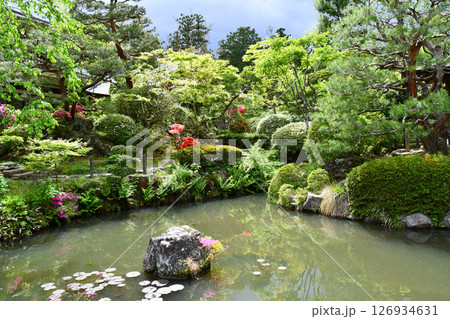 杜の都仙台 北山 輪王寺 日本庭園 三重塔 ツツジ 杜の都仙台 北山 輪王寺 日本庭園 三重塔 ツツジ 126934631