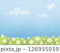 Natural flowers garden with sky background  126935039