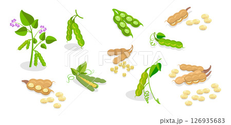 3D Isometric Flat Set of Protein Food, Fresh Soybeans Straight From Nature 3D Isometric Flat Set of Protein Food, Fresh Soybeans Straight From Nature 126935683