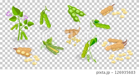 3D Isometric Flat Set of Protein Food, Fresh Soybeans Straight From Nature 3D Isometric Flat Set of Protein Food, Fresh Soybeans Straight From Nature 126935683