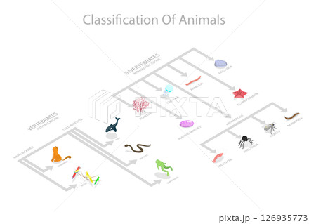 3D Isometric Flat Illustration of Animal Classification System, Zoology and Biology Basics 3D Isometric Flat Illustration of Animal Classification System, Zoology and Biology Basics 126935773