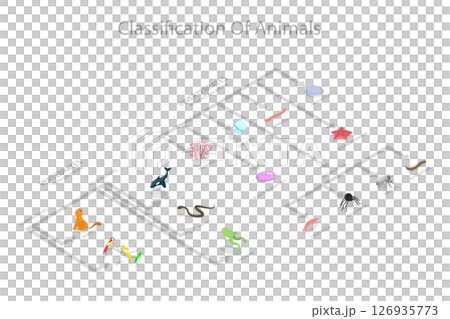 3D Isometric Flat Illustration of Animal Classification System, Zoology and Biology Basics 3D Isometric Flat Illustration of Animal Classification System, Zoology and Biology Basics 126935773