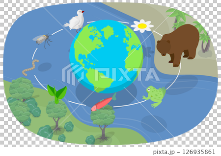3D Isometric Flat  Illustration of Biodiversity, The Concept Of Protecting Species Variety And Differences Through Biodiversity 126935861