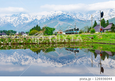 残雪の山々を背景に駆け抜ける大糸線 126936044