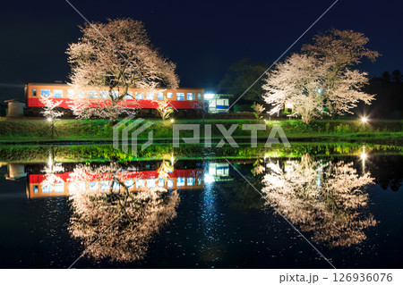 満開の桜がライトアップされた飯給駅に停車中の小湊鐵道のレトロな気動車 126936076
