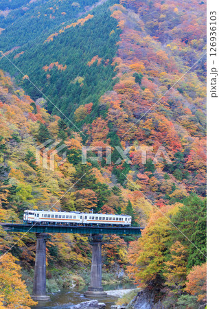 紅葉真っ盛りの第16益田川橋梁を渡る高山本線の気動車 紅葉真っ盛りの第16益田川橋梁を渡る高山本線の気動車 126936103