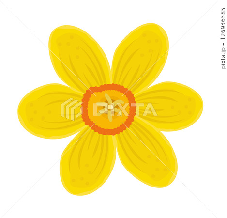 Single bright yellow daffodil, colorful illustration 126936585
