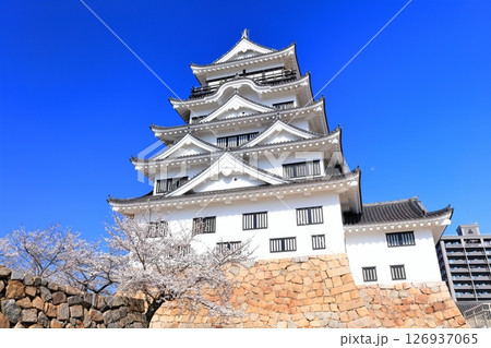 【広島県】桜咲く春の福山城（復興後）福山城桜まつり 126937065