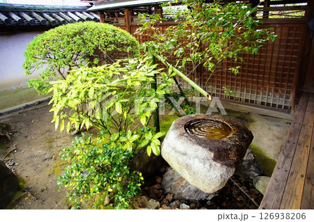 京都府　東寺 観智院・手水鉢 蹲踞　京都市 南区 九条町　2022年2月 126938206