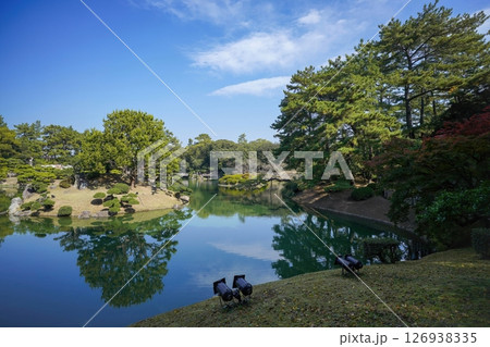青空バックに見る日本庭園の紅葉情景 126938335