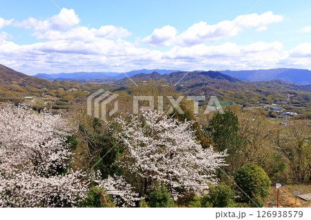 【香川県】桜咲く春の朝日山森林公園と金刀比羅宮の大麻山 126938579